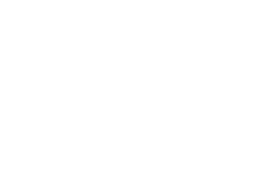 white hard hat